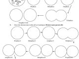 Mitosis Worksheet Answers together with 183 Best Genetics Images On Pinterest