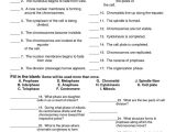 Mitosis Worksheet Answers with 183 Best Genetics Images On Pinterest