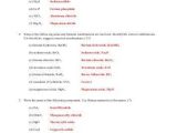Molecular Compounds Worksheet Answers as Well as Beautiful Naming Molecular Pounds Worksheet New Worksheets 48