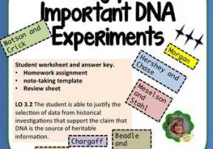 Molecular Genetics Worksheet Along with 358 Best Science Dna Images On Pinterest
