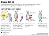 Molecular Genetics Worksheet Along with 69 Best Molecular Biology Images On Pinterest