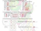 Molecular Genetics Worksheet with 8 Useful Resources for Writing Scholarship and College Admission
