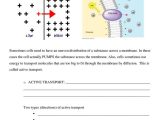Molecules Of Life Worksheet Also 115 Best Cells Images On Pinterest
