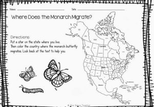 Monarch butterfly Worksheets Also 147 Best First Grade butterflies Images On Pinterest