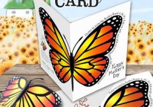 Monarch butterfly Worksheets and 7 Best butterflies Images On Pinterest