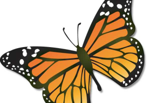 Monarch butterfly Worksheets as Well as Monarch butterfly Usgs Primary Pinterest