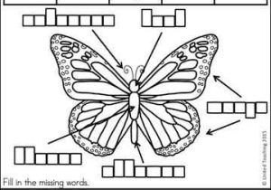 Monarch butterfly Worksheets or 149 Best butterflies Images On Pinterest