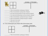Monohybrid Cross Practice Problems Worksheet and Inspirational Monohybrid Cross Worksheet Awesome the Punnett Square