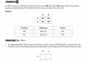 Monohybrid Cross Practice Problems Worksheet together with Inspirational Punnett Square Worksheet Answers Unique 100 Genetic