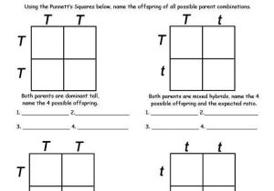 Monohybrid Cross Practice Problems Worksheet together with Worksheets 46 Lovely Monohybrid Cross Worksheet Full Hd Wallpaper