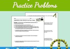 Monohybrid Cross Practice Problems Worksheet with Freebie Monohybrid Cross Practice Problems Give Peas A Chance
