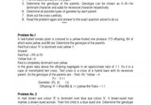 Monohybrid Cross Problems 2 Worksheet with Answers Along with Multiplication Worksheets Tar Co Dominance Blood Type Practice