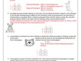 Monohybrid Cross Problems 2 Worksheet with Answers and Punnett Square Worksheet 1 Answer Key Inspirational Multiple Alleles