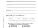 Monohybrid Cross Problems 2 Worksheet with Answers together with Worksheets 45 Inspirational Dihybrid Cross Worksheet Hi Res