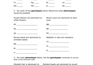 Monohybrid Cross Problems Worksheet with Answers and Free Worksheets Library Download and Print Worksheets