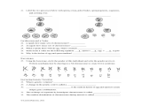 Mrna and Transcription Worksheet and Free Worksheets Library Download and Print Worksheets Free O