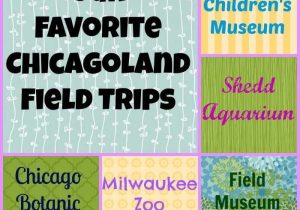 Museum Of Science and Industry Field Trip Worksheets together with 68 Best Field Trips Images On Pinterest