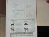 Mutations Worksheet Answers together with Joyplace Ampquot Skeletal System for Kids Worksheets Zoo Workshee