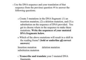 Mutations Worksheet Deletion Insertion and Substitution Along with Codon Worksheet Answer Key Elegant 19 Best Classroom Signs