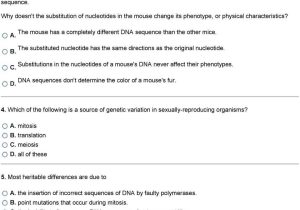 Mutations Worksheet Deletion Insertion and Substitution Also Mutations and Genetic Variability 1 What is Occurring In the