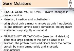 Mutations Worksheet Deletion Insertion and Substitution as Well as 1 What are Genetic Disorders Caused by Ppt Video Online