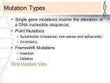 Mutations Worksheet Deletion Insertion and Substitution together with 1 What are Genetic Disorders Caused by Ppt Video Online