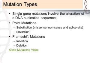 Mutations Worksheet Deletion Insertion and Substitution together with 1 What are Genetic Disorders Caused by Ppt Video Online