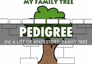My Family Tree Free Printable Worksheets with Vocab Unit 14 Study Guide by Brandon Chao