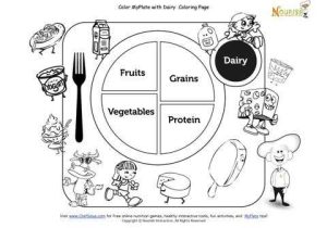 My Plate Worksheets Also 18 Best Pe Nutrition Images On Pinterest