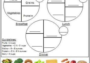 My Plate Worksheets or 31 Best Fall Break Camp Images On Pinterest