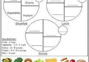 My Plate Worksheets together with 103 Best Health Images On Pinterest