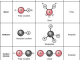 Naming Ionic Compounds Worksheet with File Figure 02 01 11 Wikimedia Mons