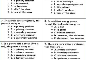 National Geographic Colliding Continents Worksheet Answers as Well as What is An Animal Worksheet Answers