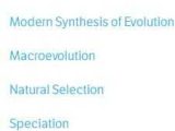 Natural Selection Worksheet Also 100 Besten Evolution Bilder Auf Pinterest