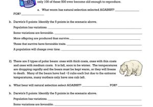 Natural Selection Worksheet as Well as Evolution Worksheet Great Patterns Evolution Worksheet
