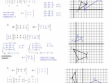 Natural Selection Worksheet or Aids Worksheet Elegant Math Coordinate Plane Picture Worksheets