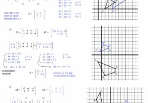 Natural Selection Worksheet or Aids Worksheet Elegant Math Coordinate Plane Picture Worksheets