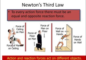 Newton's Laws Of Motion Worksheet Pdf with Tranlational Equilibrium Online Presentation