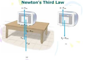 Newton's Laws Review Worksheet or Quick Quiz