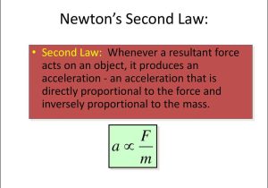 Newton's Laws Worksheet Answers with Tranlational Equilibrium Online Presentation