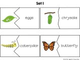 Nitrogen Cycle Worksheet Answers Along with Enchanting S for Easy assembly Free Science Worksheets