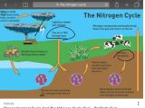 Nitrogen Cycle Worksheet Answers Along with the Nitrogen Cycle Science Earthscience Showme