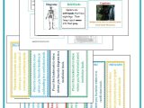 Nonfiction Text Features Worksheet and Nonfiction Features Worksheet