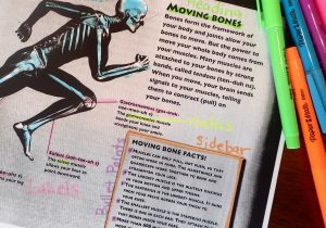 Nonfiction Text Features Worksheet as Well as 35 Facts About Text and Graphic Features that Will Blow Your Mind