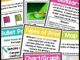 Nonfiction Text Features Worksheet with Nonfiction Text Features Posters & Activities