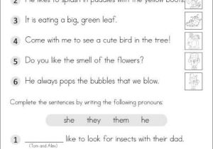 Nouns and Pronouns Worksheets as Well as 133 Best Slp Pronoun Freebies Images On Pinterest