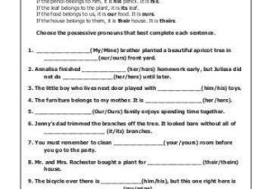 Nouns and Pronouns Worksheets as Well as Possessive Pronouns English for Everyone