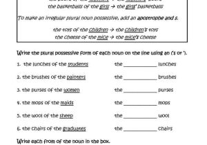 Nouns Worksheet 3rd Grade Also Worksheet Possessive Nouns 4th Grade