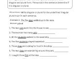 Nouns Worksheet 3rd Grade together with Noun Practice Worksheet Worksheets for All