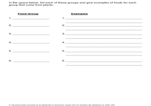 Nutrition Worksheets for High School Also Collection solutions Plant Worksheets for High School In